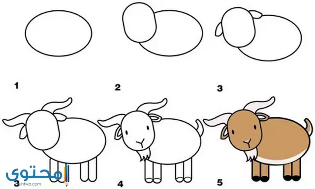 رسم حيوانات بطريقة بسيطة