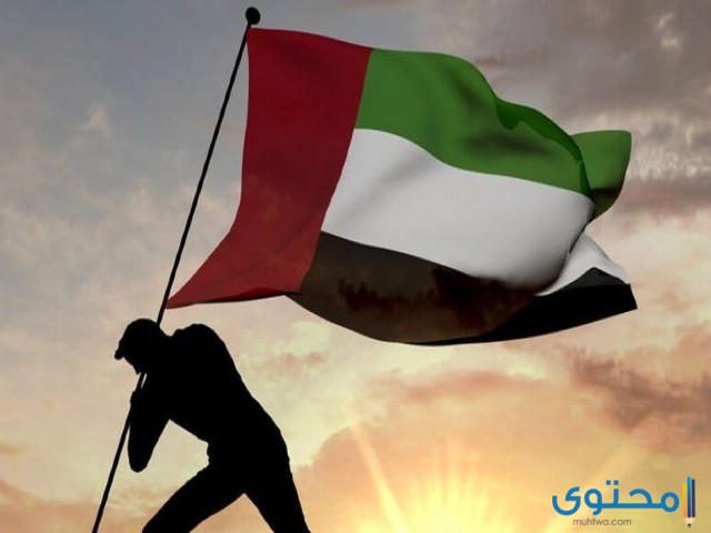 رسومات علم الإمارات للتلوين