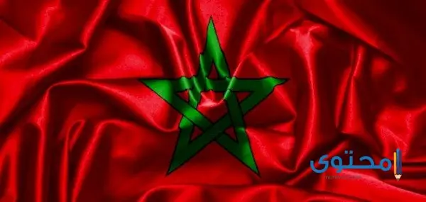 رسومات علم المغرب للتلوين