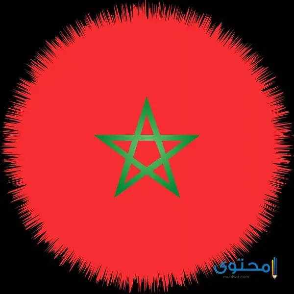رسومات علم المغرب للتلوين11