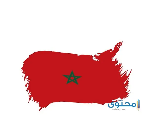 رسومات علم المغرب للتلوين7