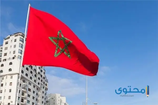 رسومات علم المغرب للتلوين8