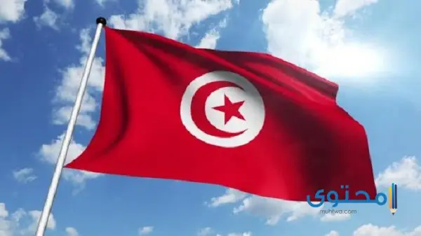 رسومات علم تونس للتلوين