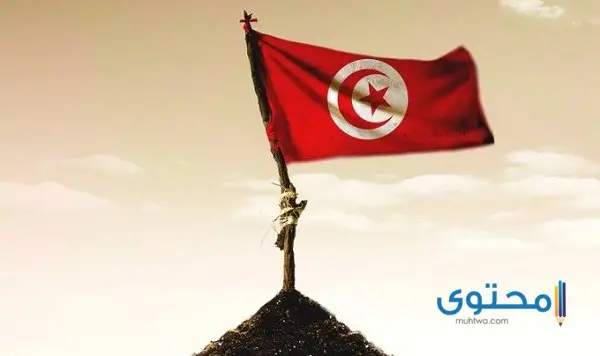 علم تونس للتلوين10