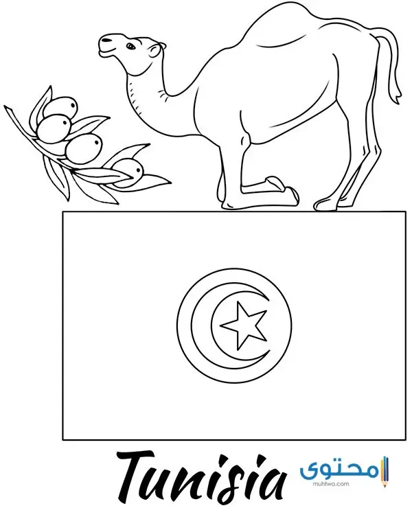 علم تونس للتلوين4