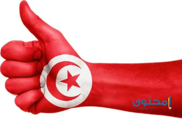 علم تونس للتلوين6