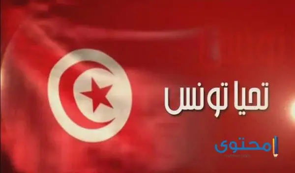 علم تونس للتلوين7