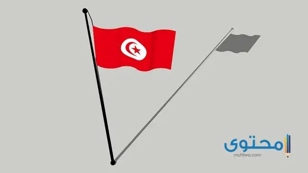 علم تونس للتلوين8