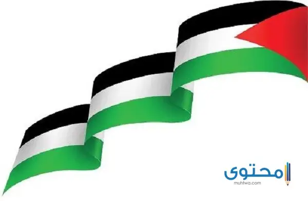 علم فلسطين للتلوين..