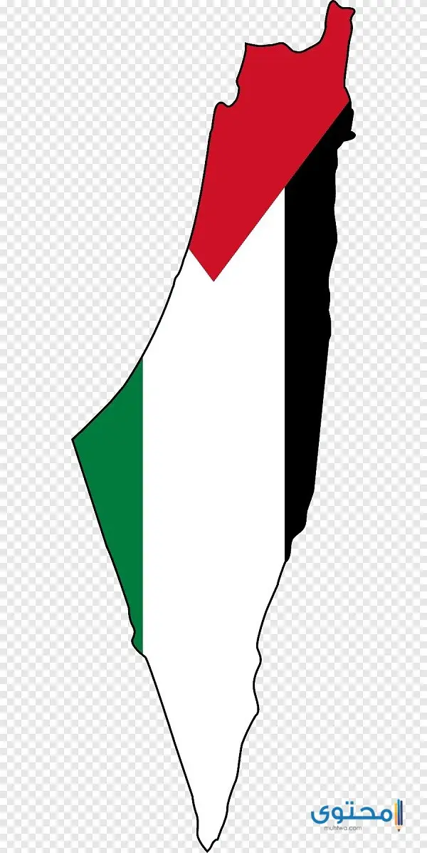 علم فلسطين للتلوين3