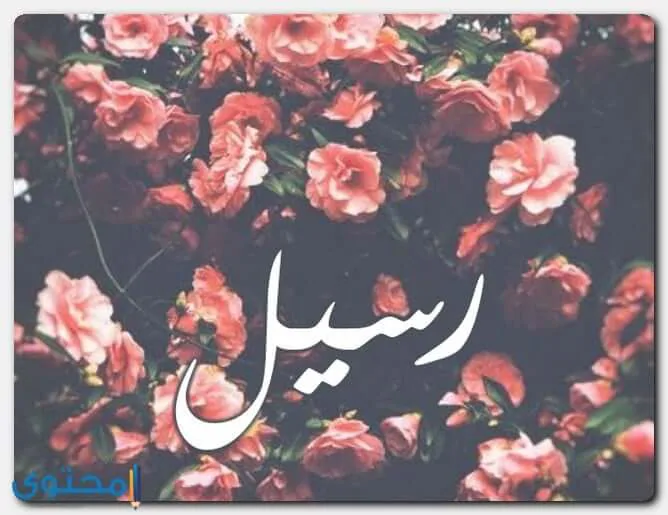 معنى اسم رسيل