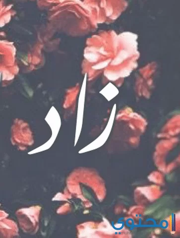 معنى اسم زاد وصفات شخصيتة Zad
