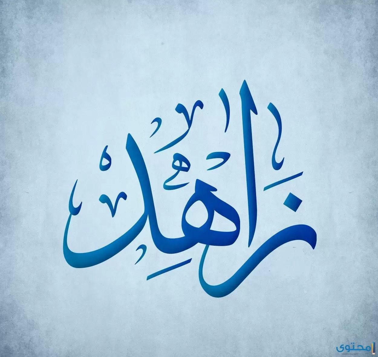 معنى اسم زاهد