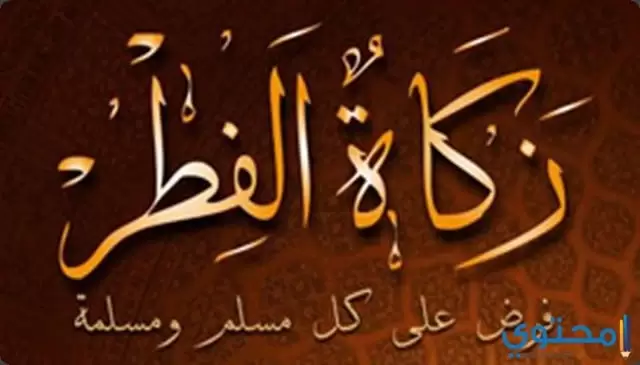 زكاة الفطر