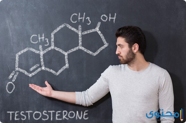 كيفية زيادة هرمون التستوستيرون عند الرجال بالأدوية