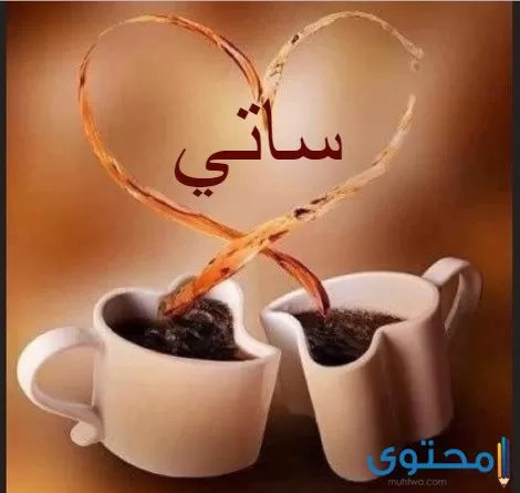 معنى اسم ساتي