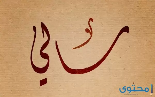 معنى اسم سالي