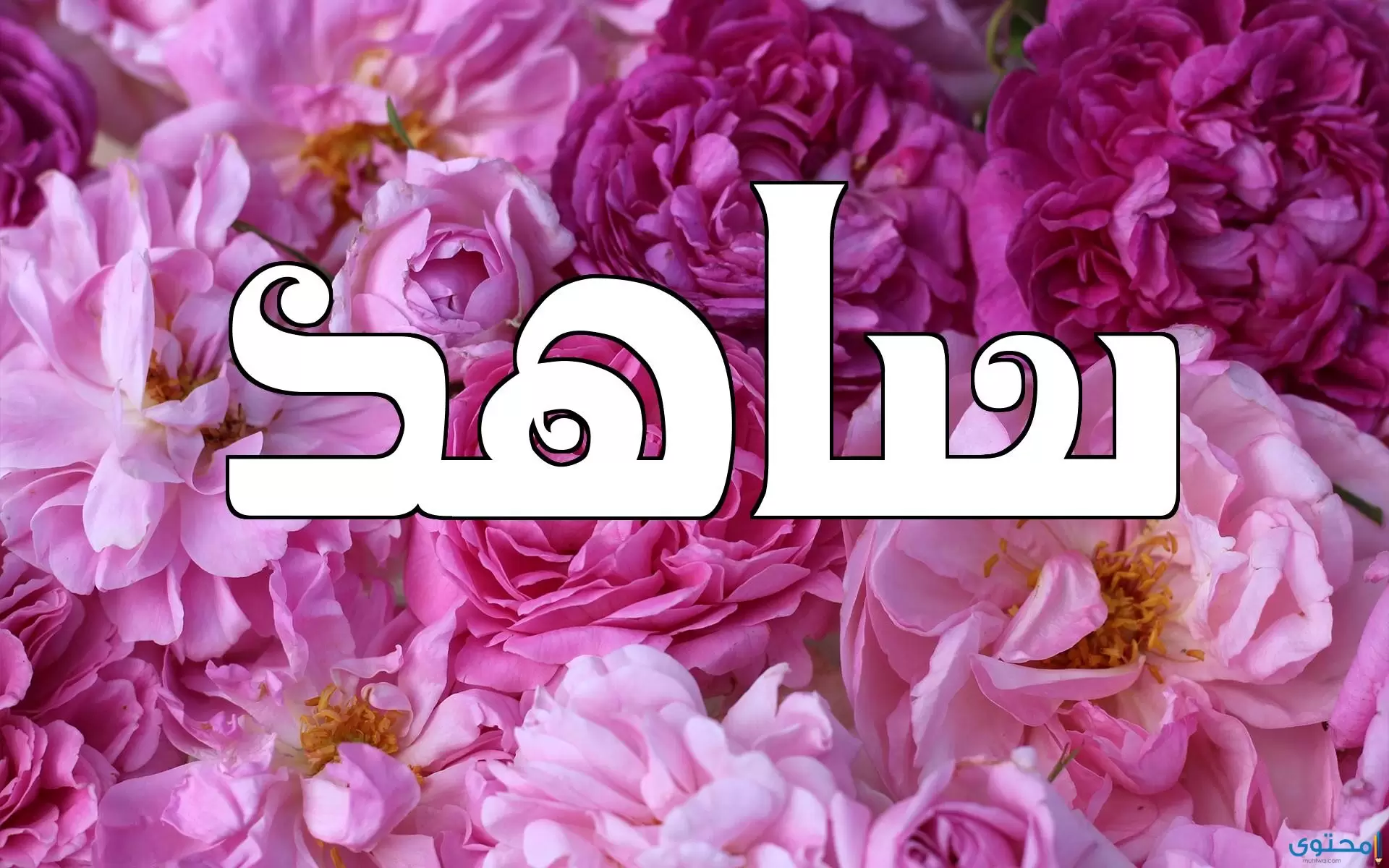 معنى اسم ساهد