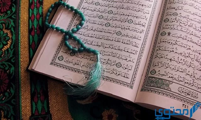 سبب تسمية المد الفرعي.