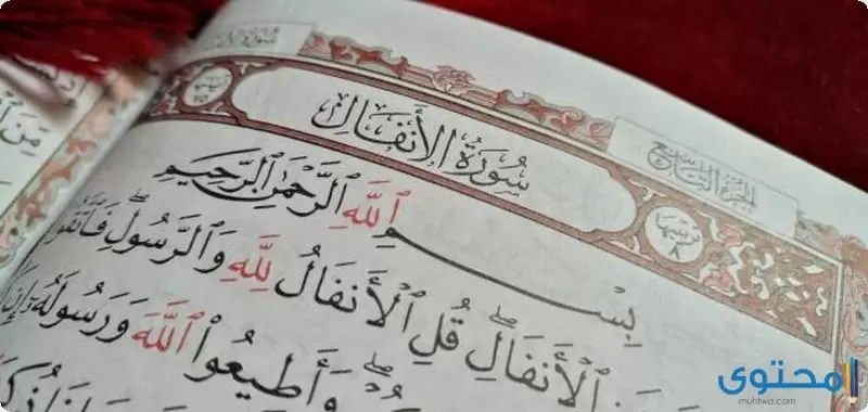 تسمية سورة الأنفال