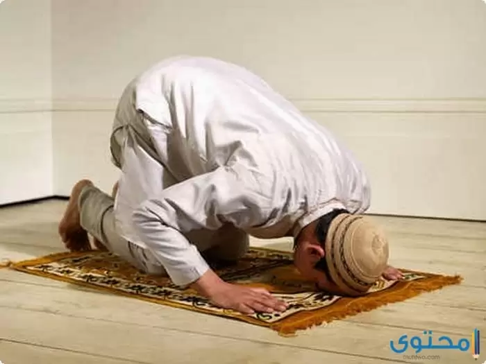 السهو2