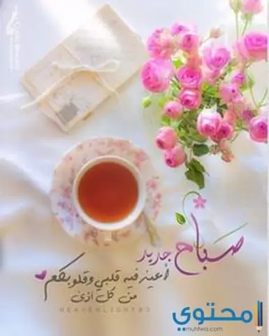 صباح الفل