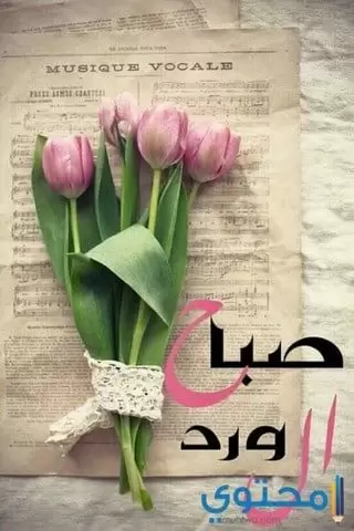صباح الفل