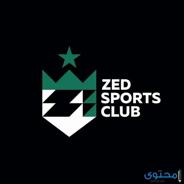 سعر اشتراك نادي ZED