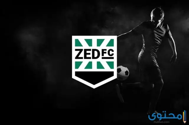 سعر اشتراك نادي ZED