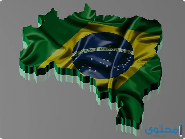 كم عدد سكان البرازيل 2023 بالتفصيل