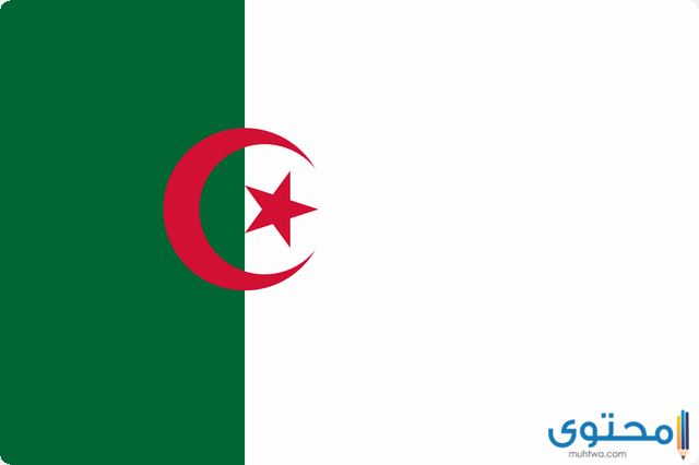 عدد سكان الجزائر 2023 بالتفصيل