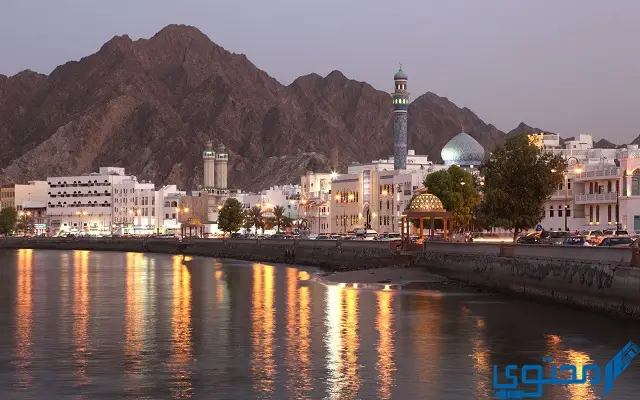 سلطنة عمان عدد الدول العربية في اسيا