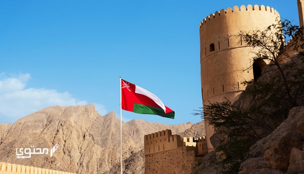 سلم رواتب الأطباء في سلطنة عمان 20231
