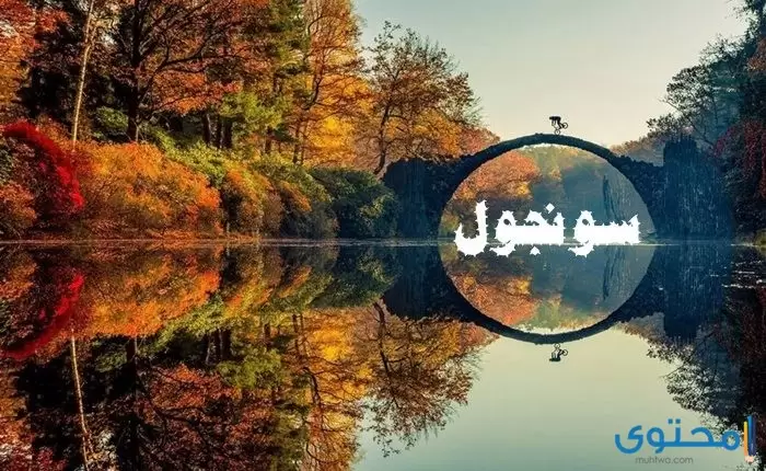 معنى اسم سونجول