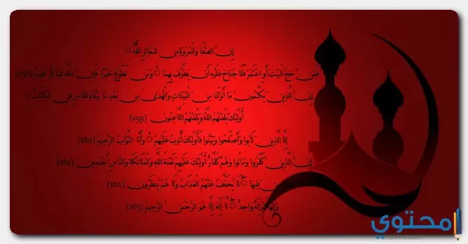 أطول سورة في القرآن