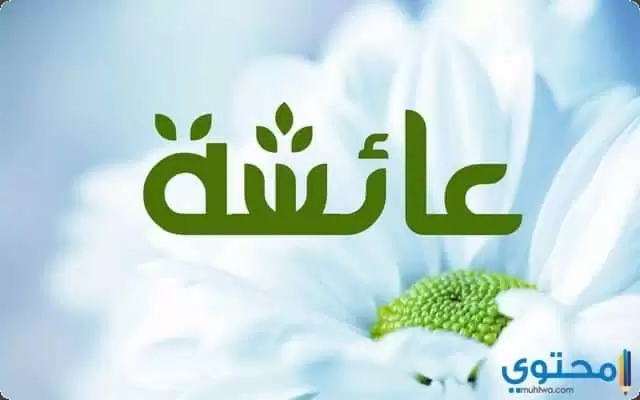 سيرة السيدة عائشة