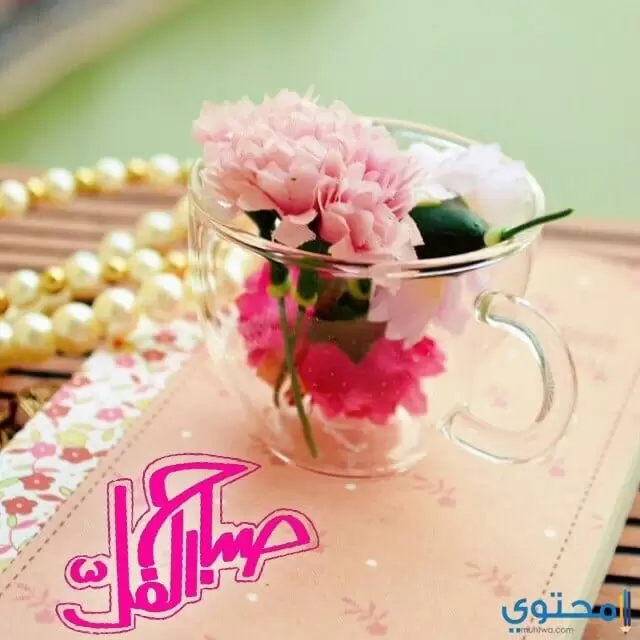 صباح الفل