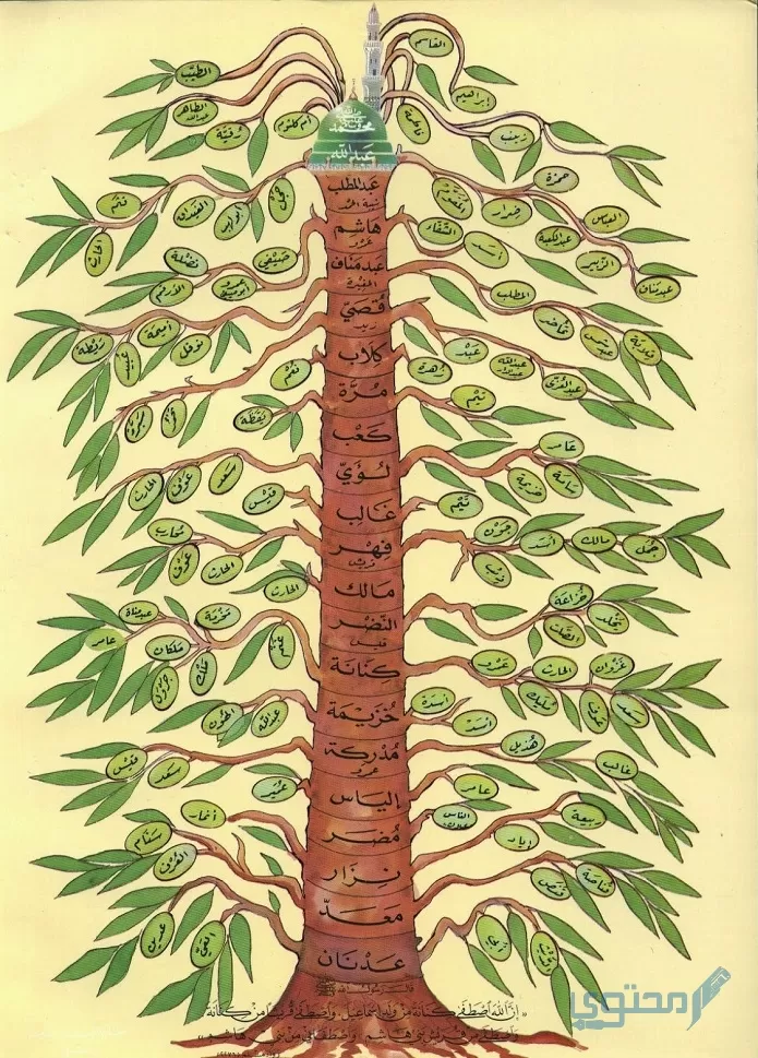 شجرة عائلة السادة الأشراف الكاملة