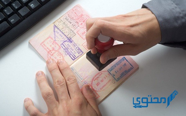 شروط الحصول على تأشيرة طالب في الإمارات وخطوات التقديم