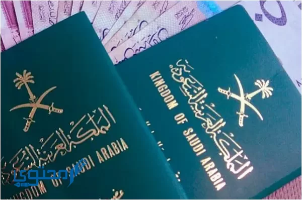 ما هي شروط السفر إلى إندونيسيا من السعودية 2024