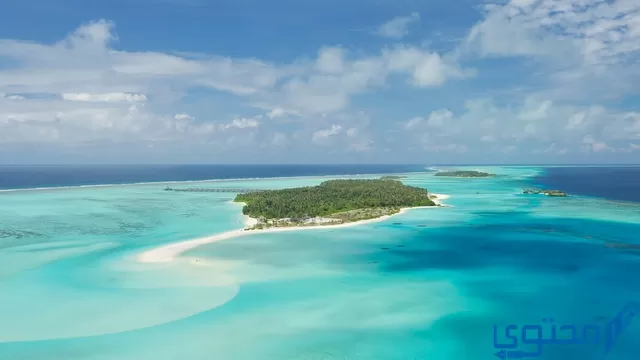 شروط السفر إلى جزر المالديف