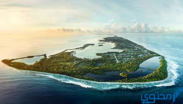 شروط السفر إلى جزر المالديف