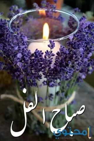 صباح الفل