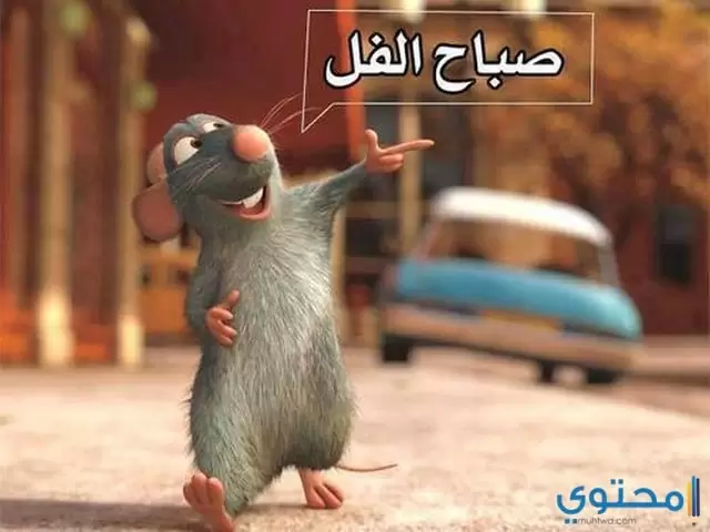 صباح الفل