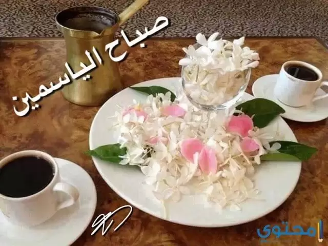 صباح الفل