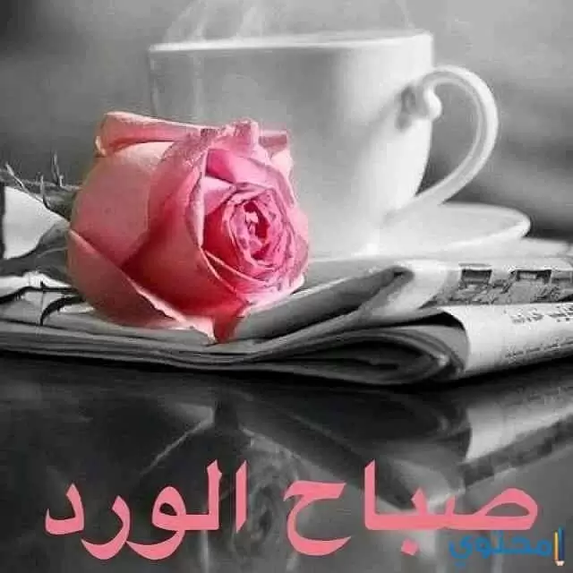 صباح الفل