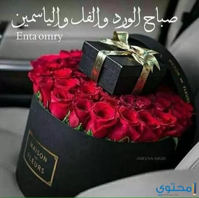 صباح الفل