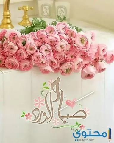 صباح الفل