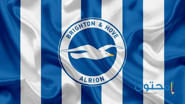 شعار برايتون أند هوف ألبيون