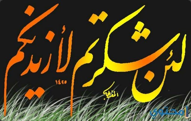 الشكر الله كيف نشكر الله على النعم - موقع محتوى